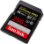 SanDisk MeモリカドSDカードドメメモリカド一眼レフカメメラ4 Kカード高速キヤノニコンソニ専用95 M/S 256 G